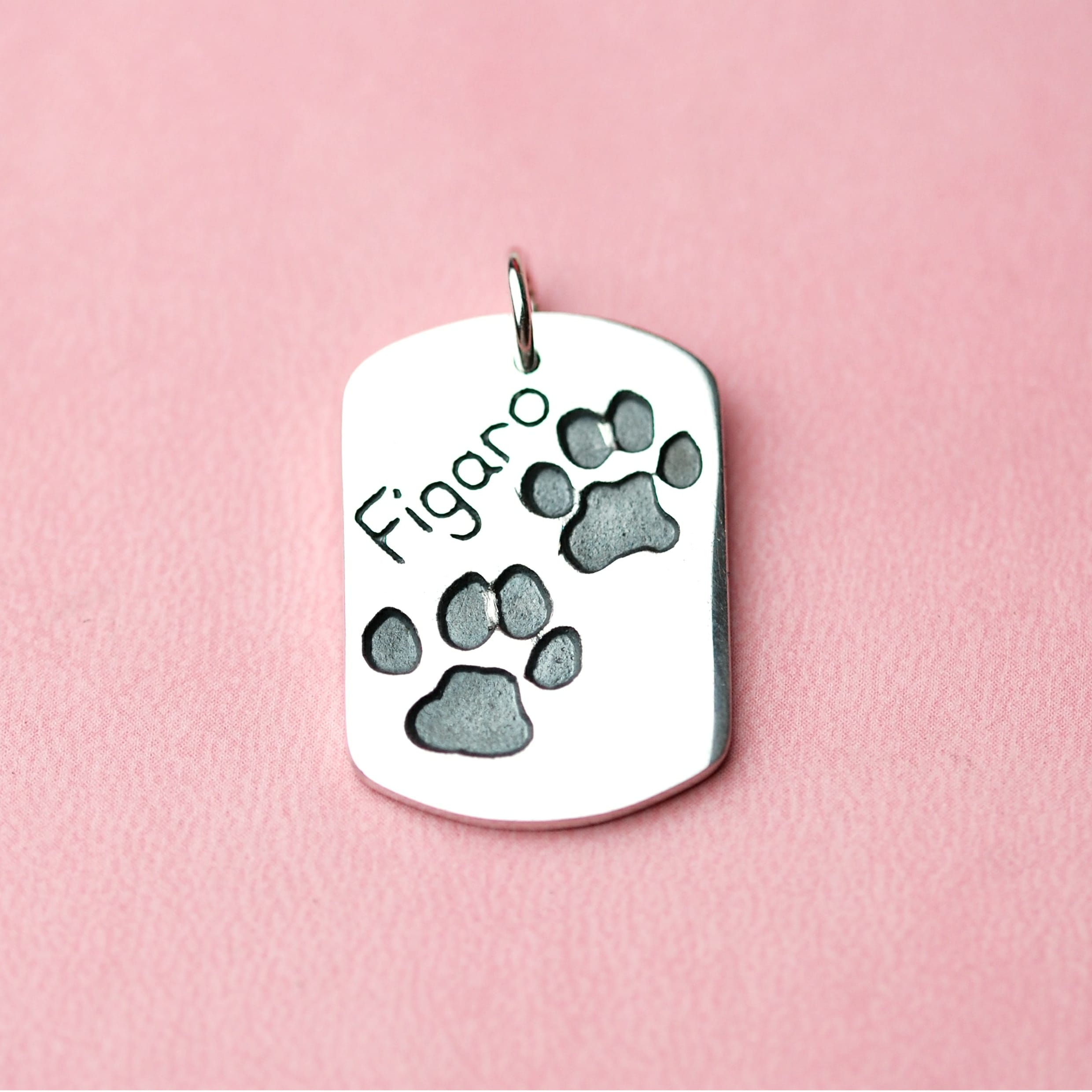 Large silver dog tag with your pet's unique paw prints and names