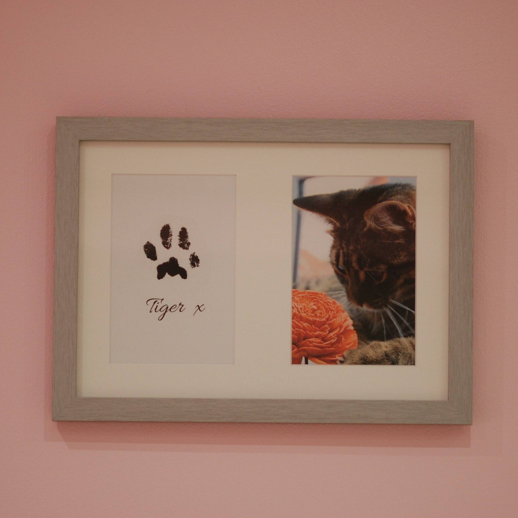 Brushed silver frame, part of paw print kit with cat paw print and photo keepsake