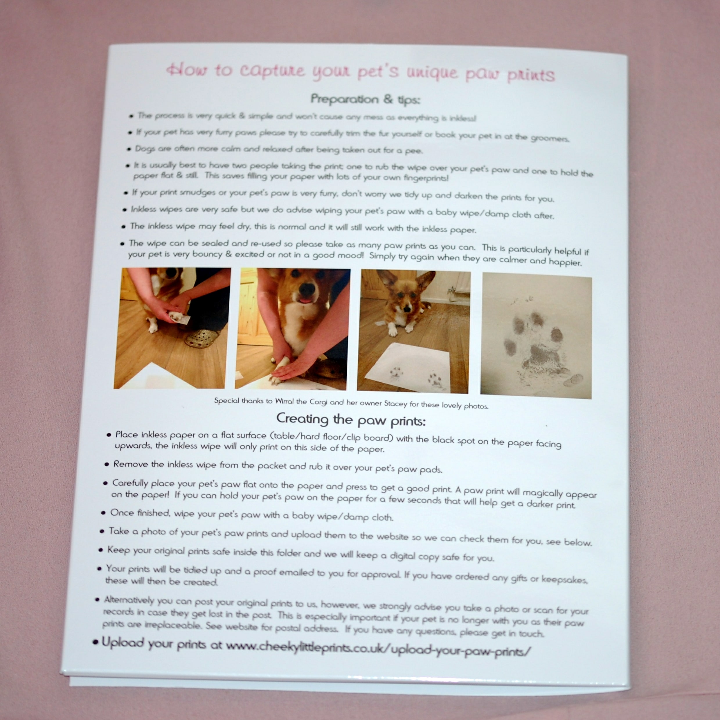 Paw print kit instructions on the back of the presentation folder