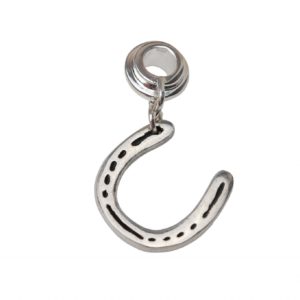 Small horse shoe with carrier