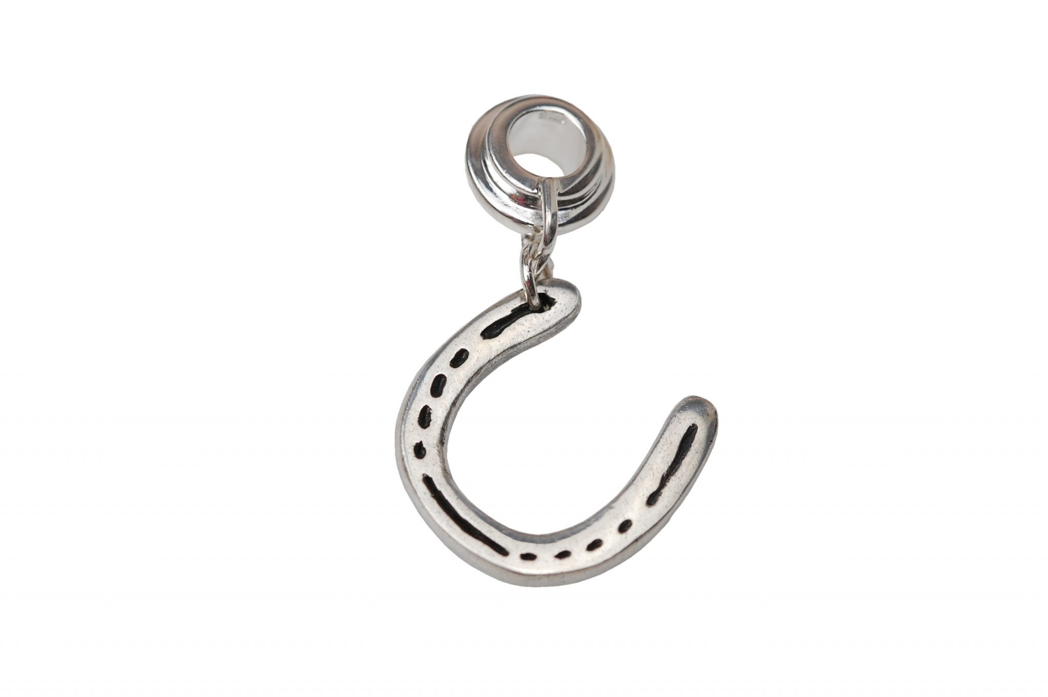 Small horse shoe with carrier