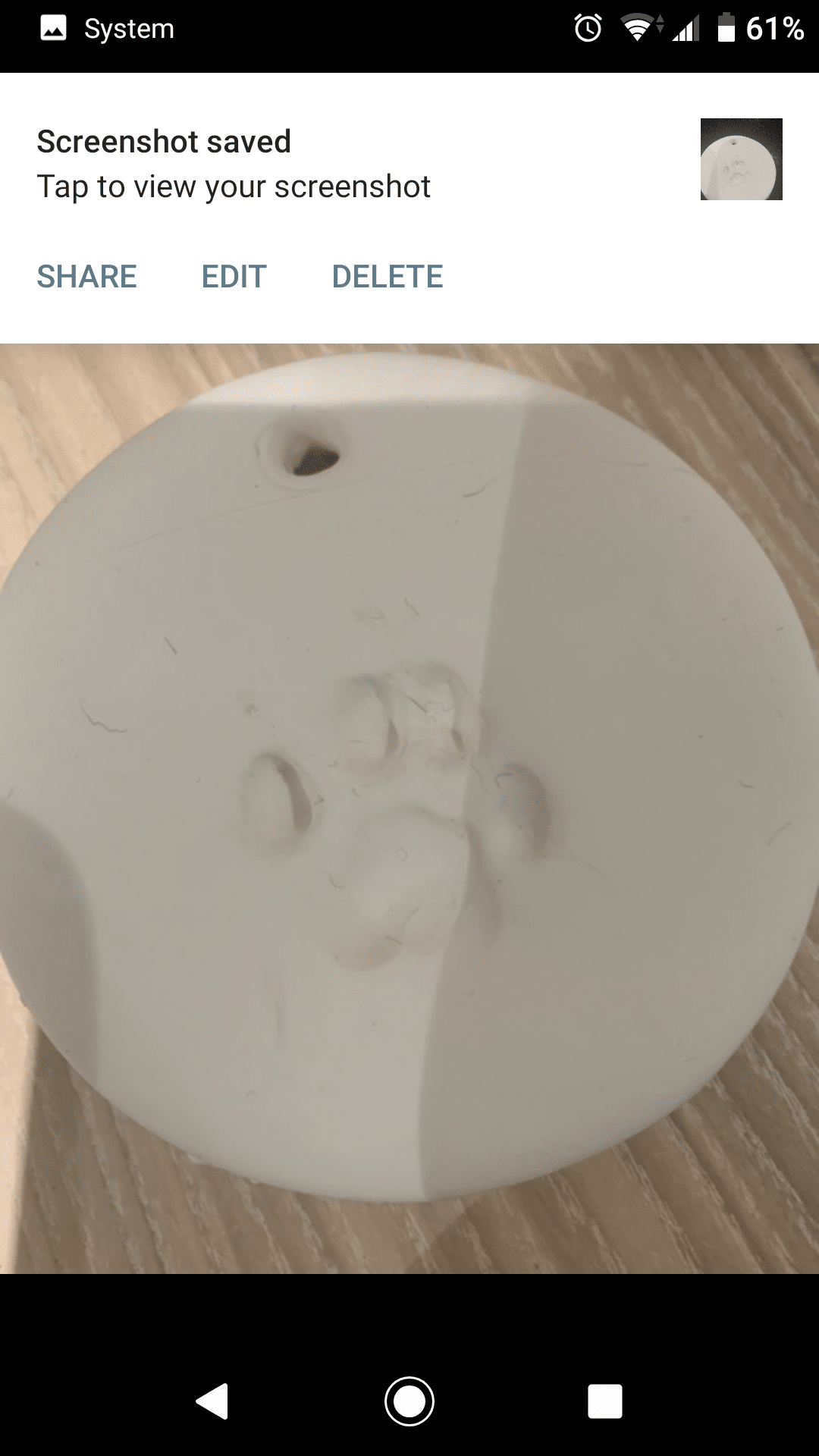 Paw print in clay used to create silver paw print jewellery