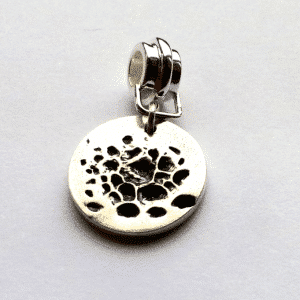 Tortoise footprint is the most unusual print we have captured in silver