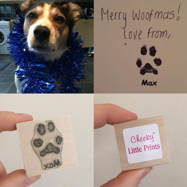 Dog with his paw print stamp Christmas gifts for dogs