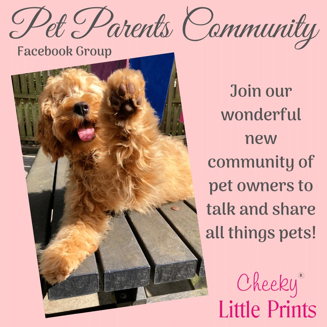 Welcome to the Pet Parents Community Facebook group