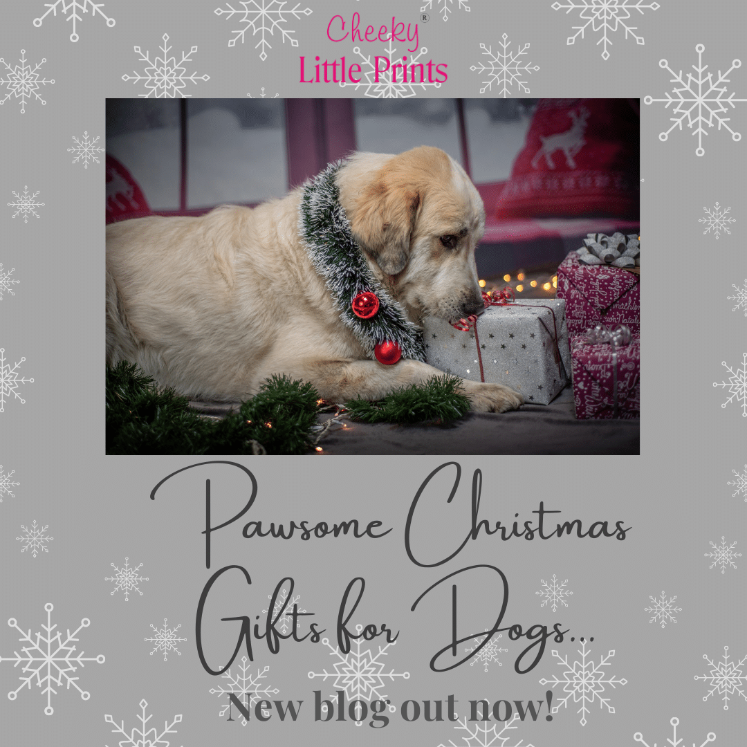 Pawsome Christmas Gifts for Dogs blog out now