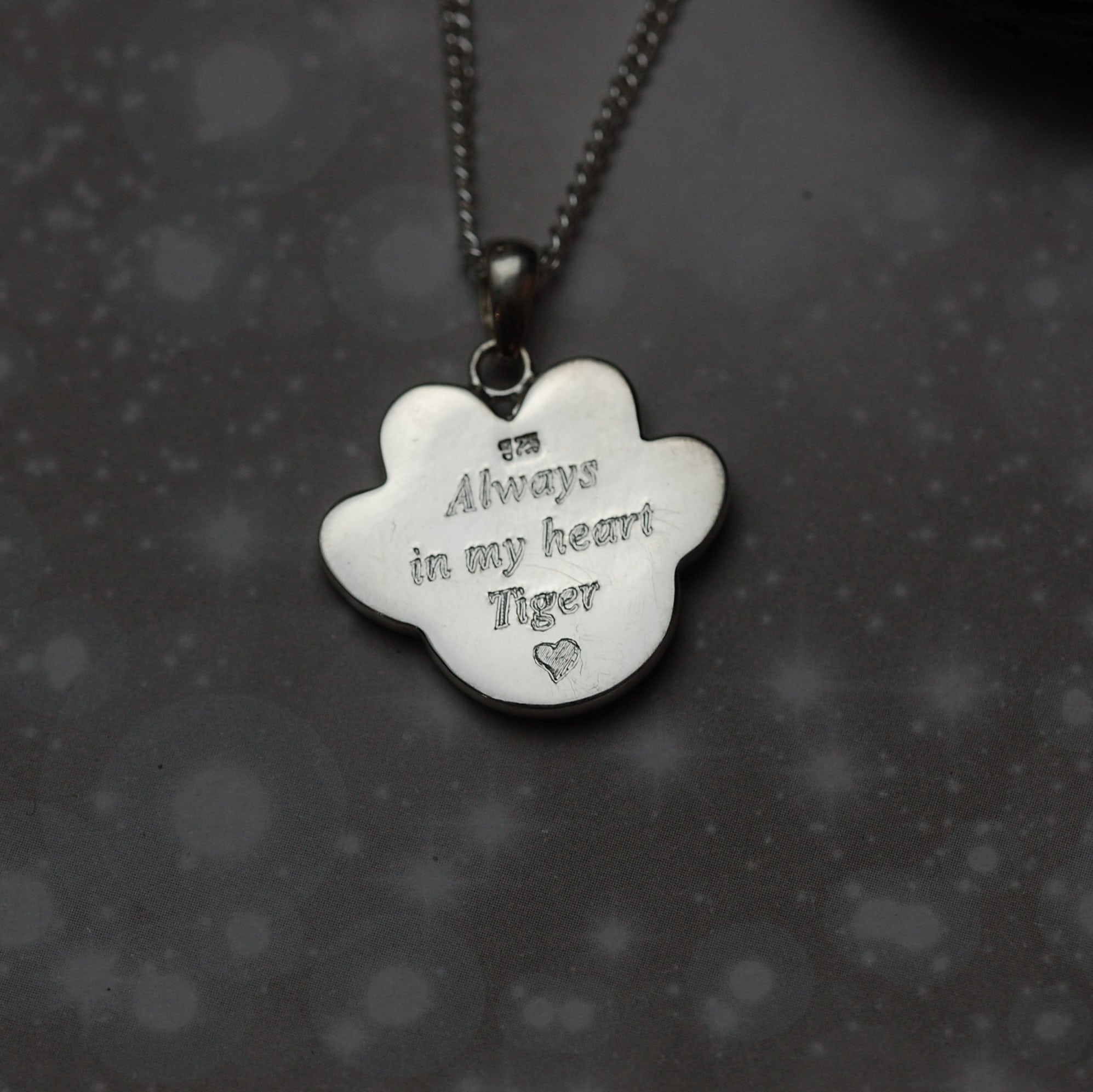 Pet name and message engraved on silver paw print pendant with pet fur or cremation ashes