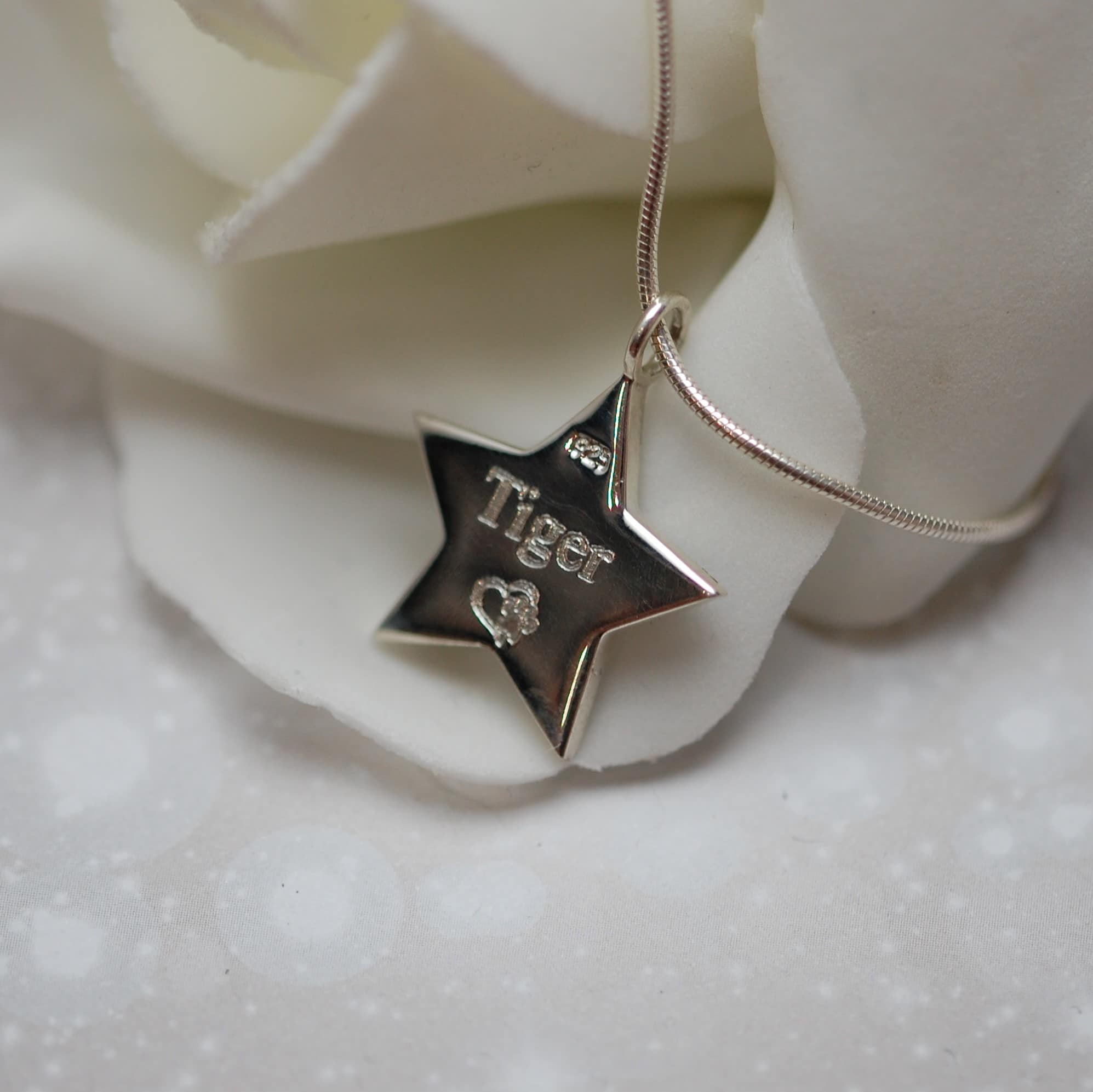 Pet name engraved on the back of silver star pendant with pet fur or cremation ashes