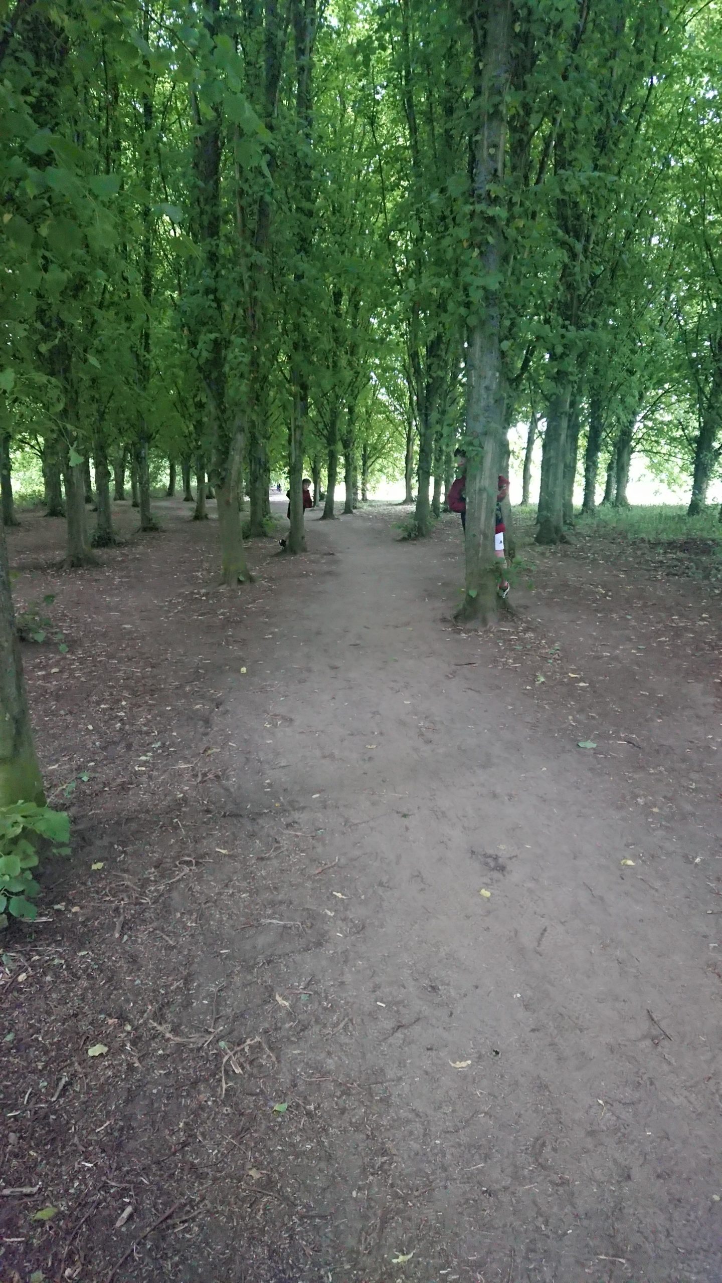 Trees and wooded area at Coate Water Country Park Swindon
