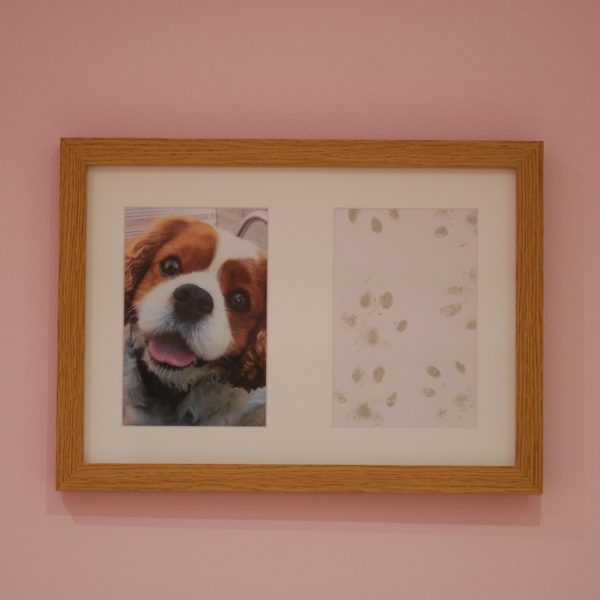 French oak effect frame, part of paw print kit with dog paw print and photo keepsake